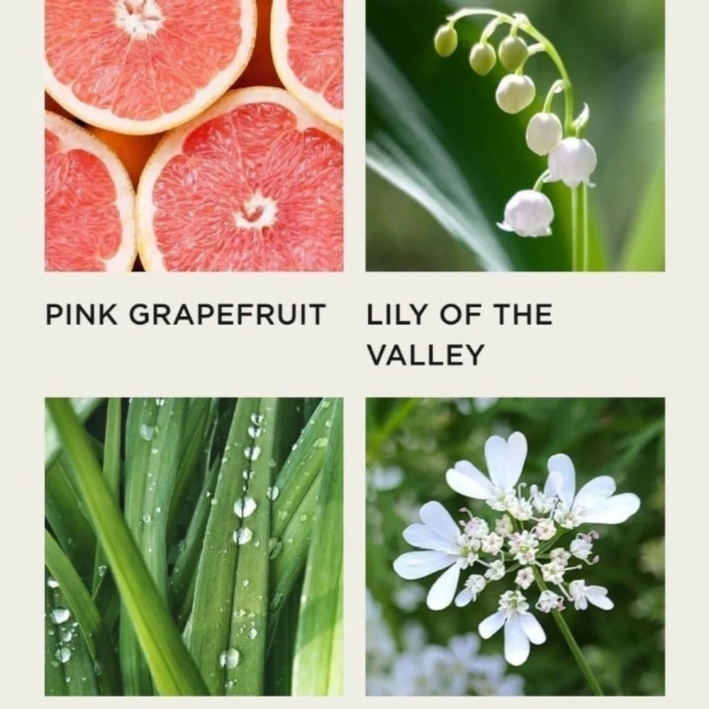 NEST Fragrances grapefruit mini
